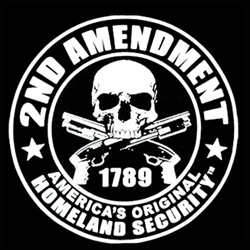 2nd Amendment Homeland Security Men's T-Shirt