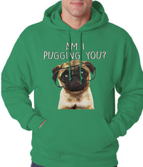 Am I Pugging You Funny Pug Adult Hoodie