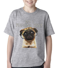 Am I Pugging You Funny Pug Kids T-shirt Grey