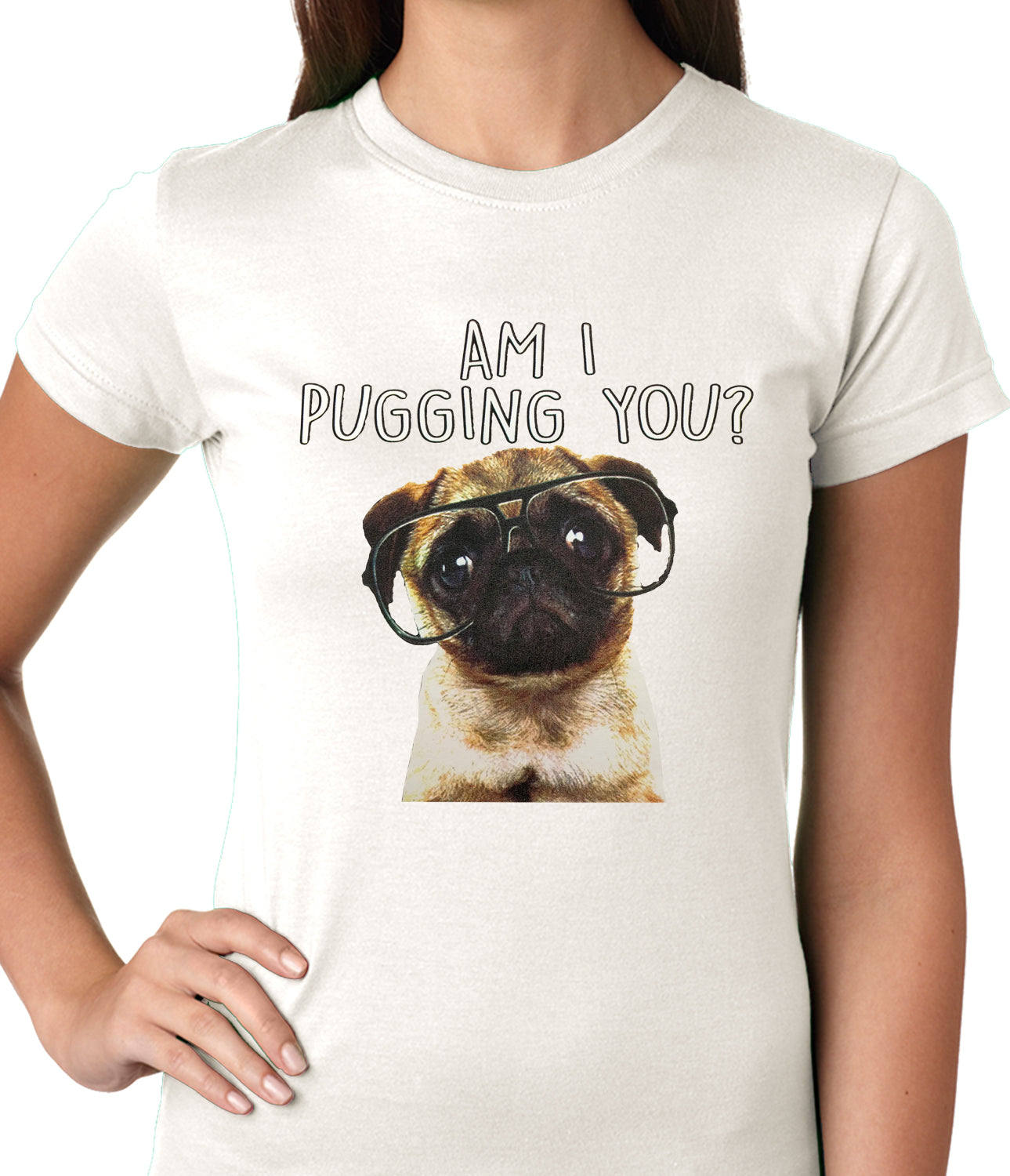 Am I Pugging You Funny Pug Ladies T-shirt