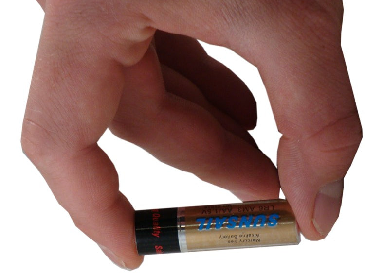 Amazing AA Battery Diversion Safe