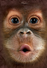 Baby Orangutan Big Face Men's T-Shirt