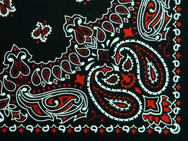 Red Paisley Bandanna