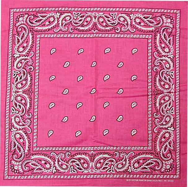 Bandanas - Hot Pink Paisley Bandana