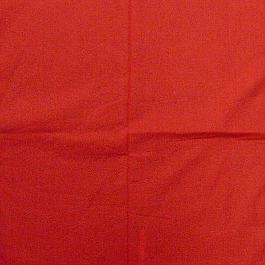 Bandanas - Plain Red Bandana
