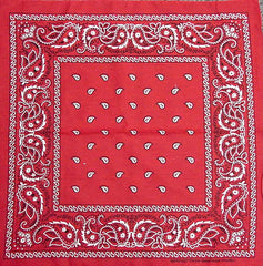 Bandanas - Red Paisley Bandanna
