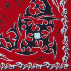 Bandanas - Tribal Paisley Bandanna