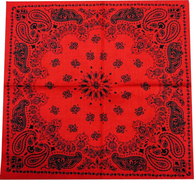 Bandanna - Red & Black Paisley Bandanna