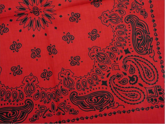 Bandanna - Red & Black Paisley Bandanna
