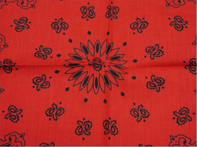 Bandanna - Red & Black Paisley Bandanna