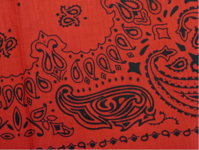 Bandanna - Red & Black Paisley Bandanna