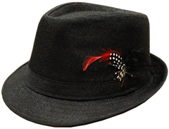 Black Fedora With Feathers
