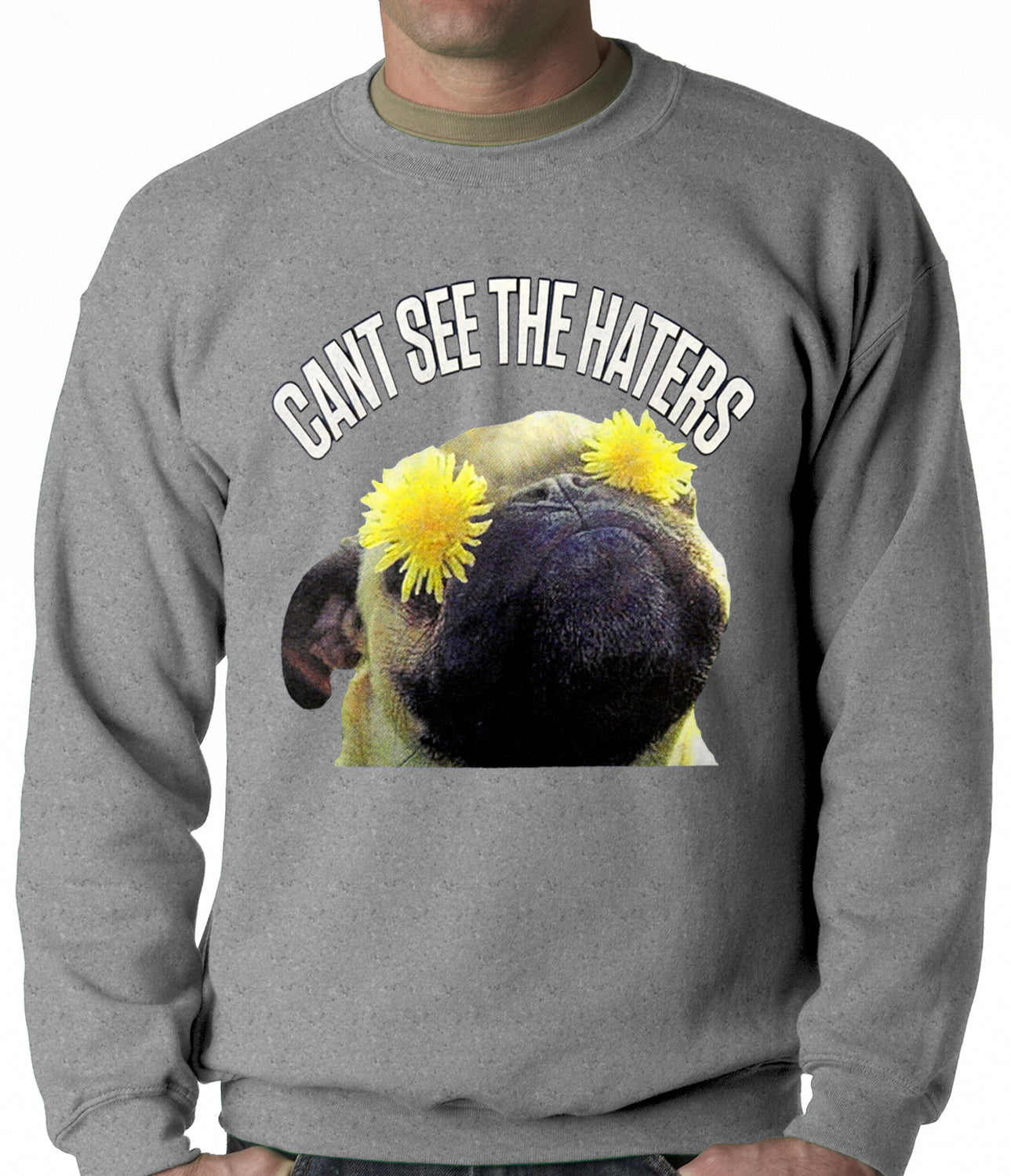 Can't See The Haters Funny Pug Adult Crewneck