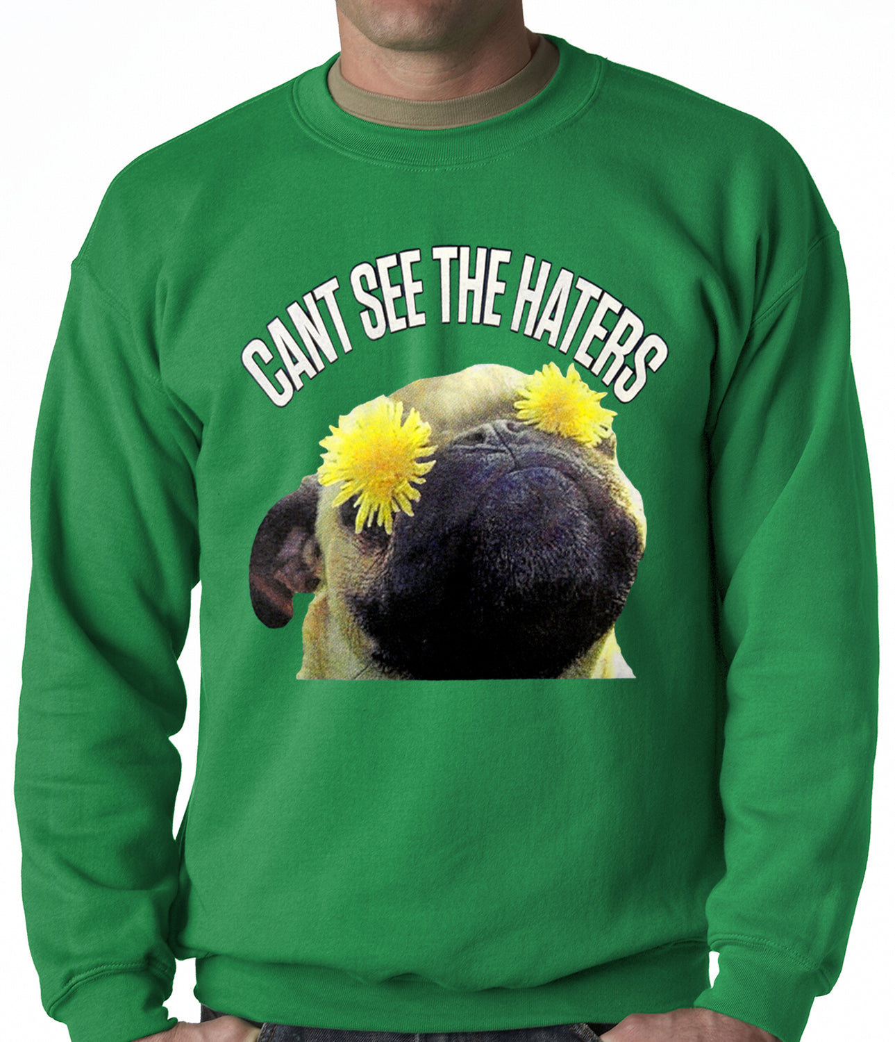 Can't See The Haters Funny Pug Adult Crewneck