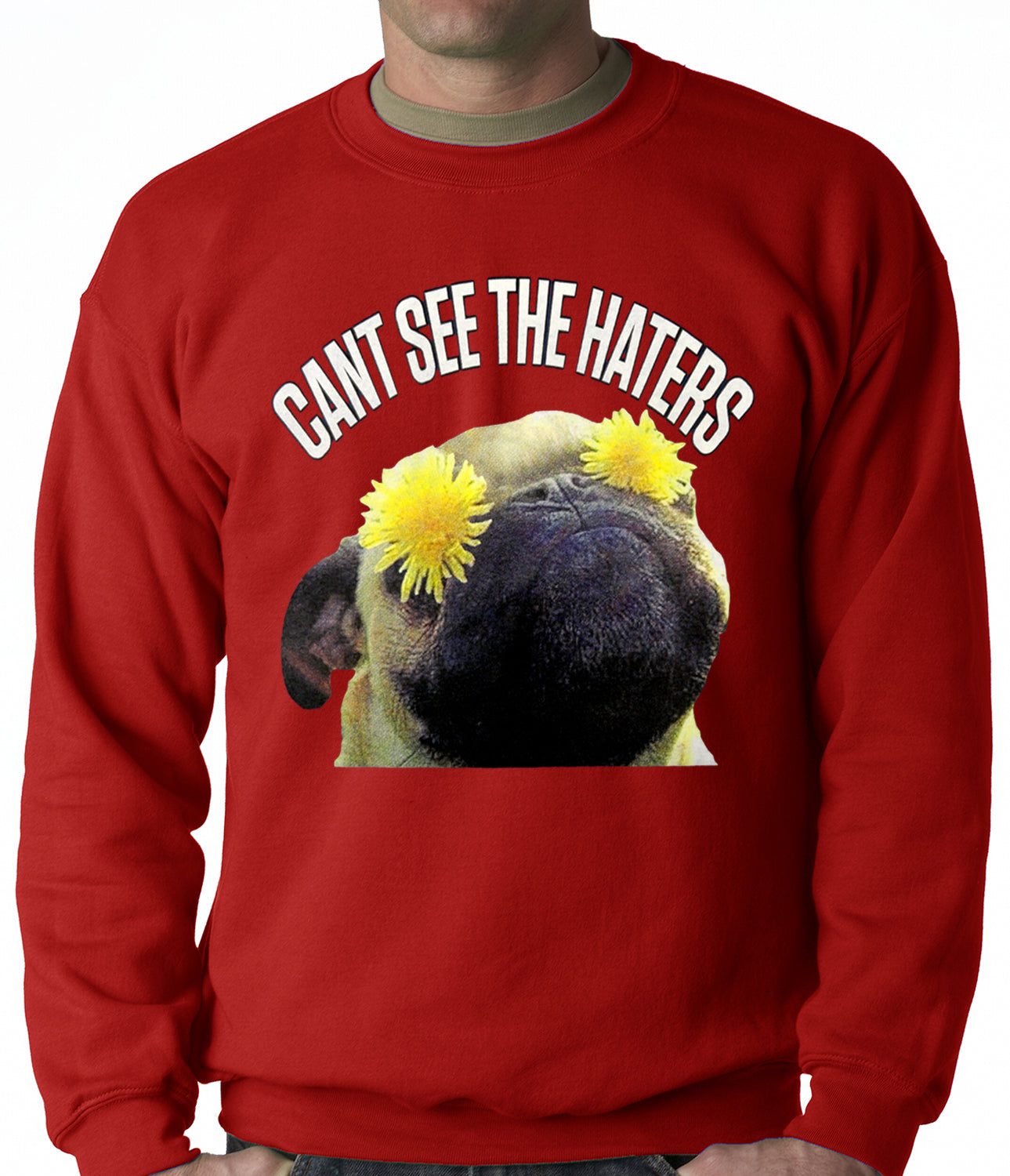 Can't See The Haters Funny Pug Adult Crewneck