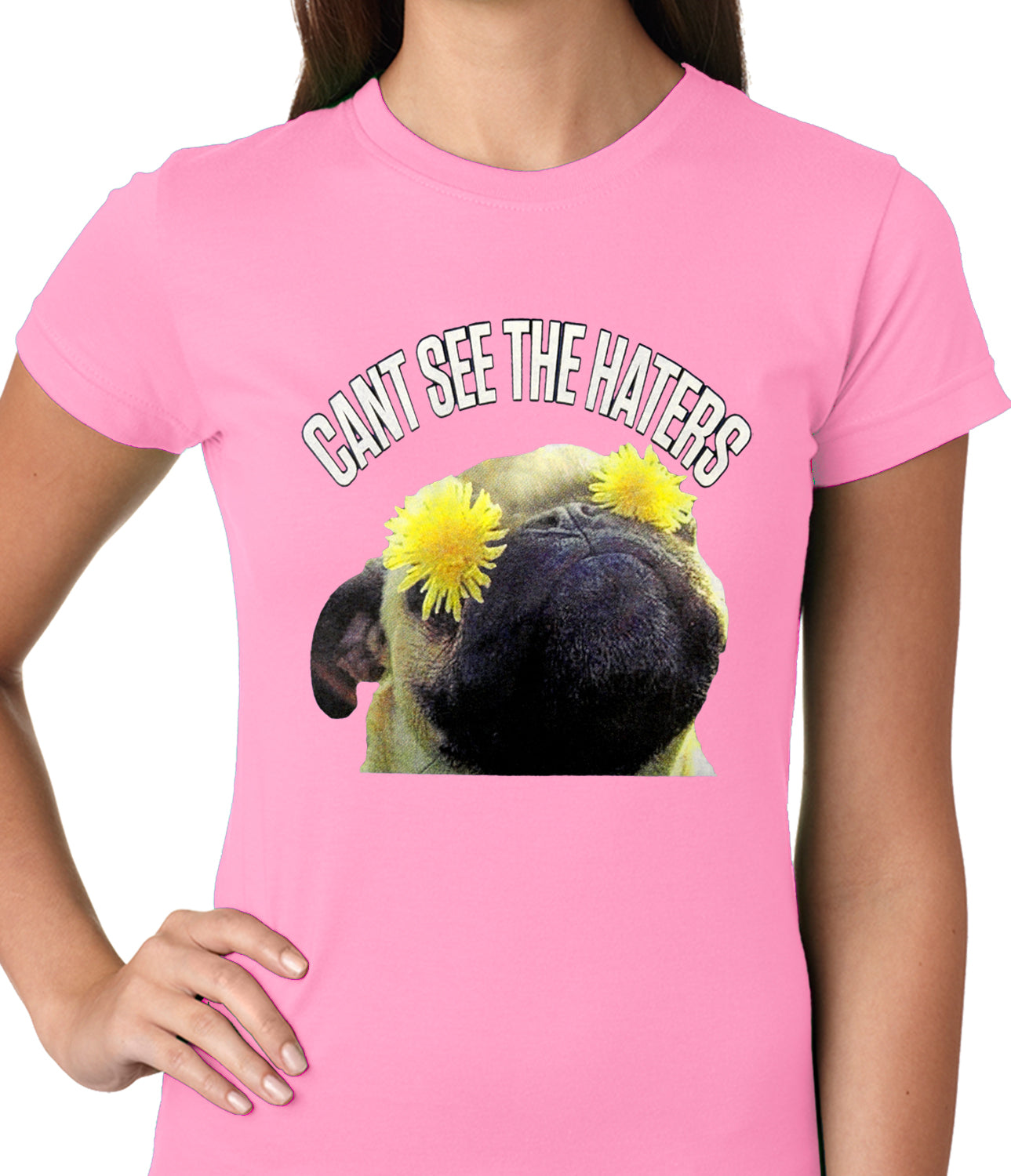 Can't See The Haters Funny Pug Ladies T-shirt