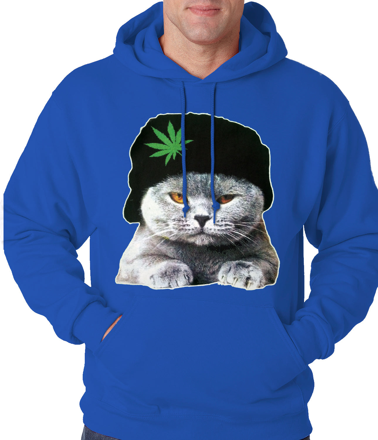 Cat Wearing Pot Leaf Hat Adult Hoodie