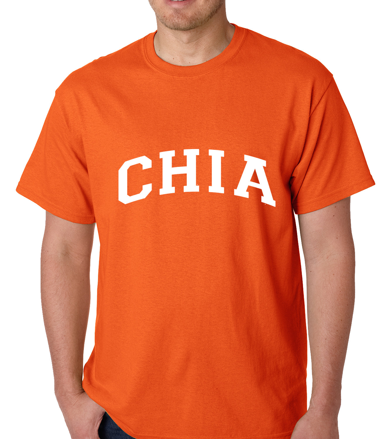 Chia Seed Vegetarian Mens T-shirt