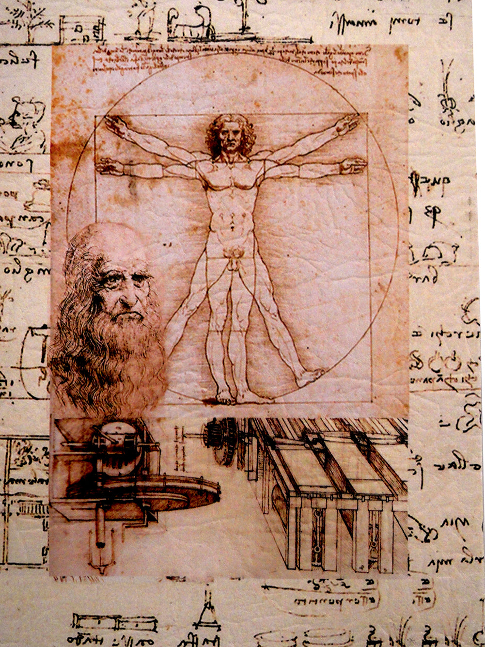 Diversion Safe - Da Vinci Journal Book Safe (Large)