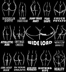 Funny T Shirts - Different Types Of Asses T-Shirt