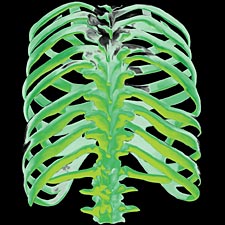 Glow Spine T-Shirt (Back Print)