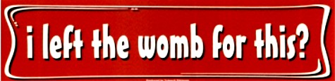 I Left The Womb... Bumper Sticker