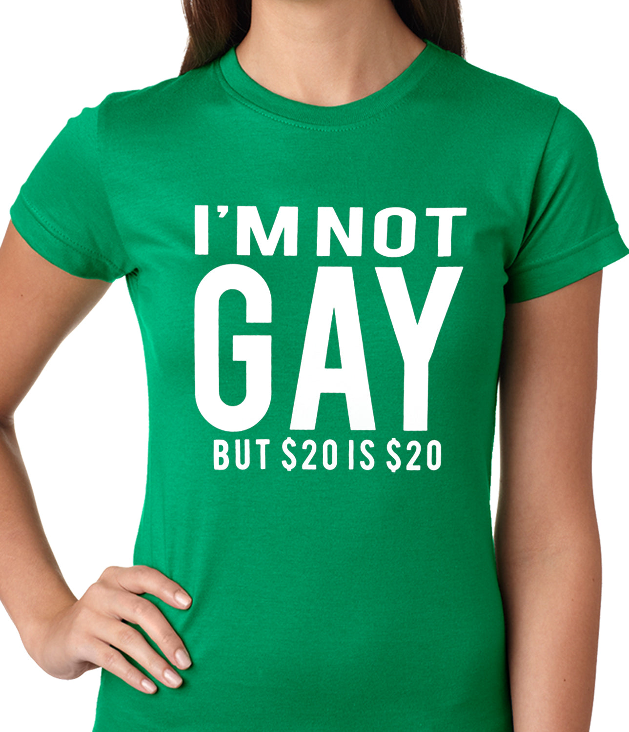 I'm Not Gay But 20 Dollars is 20 Dollars Ladies T-shirt
