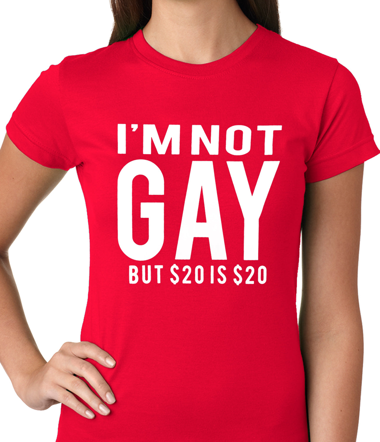 I'm Not Gay But 20 Dollars is 20 Dollars Ladies T-shirt