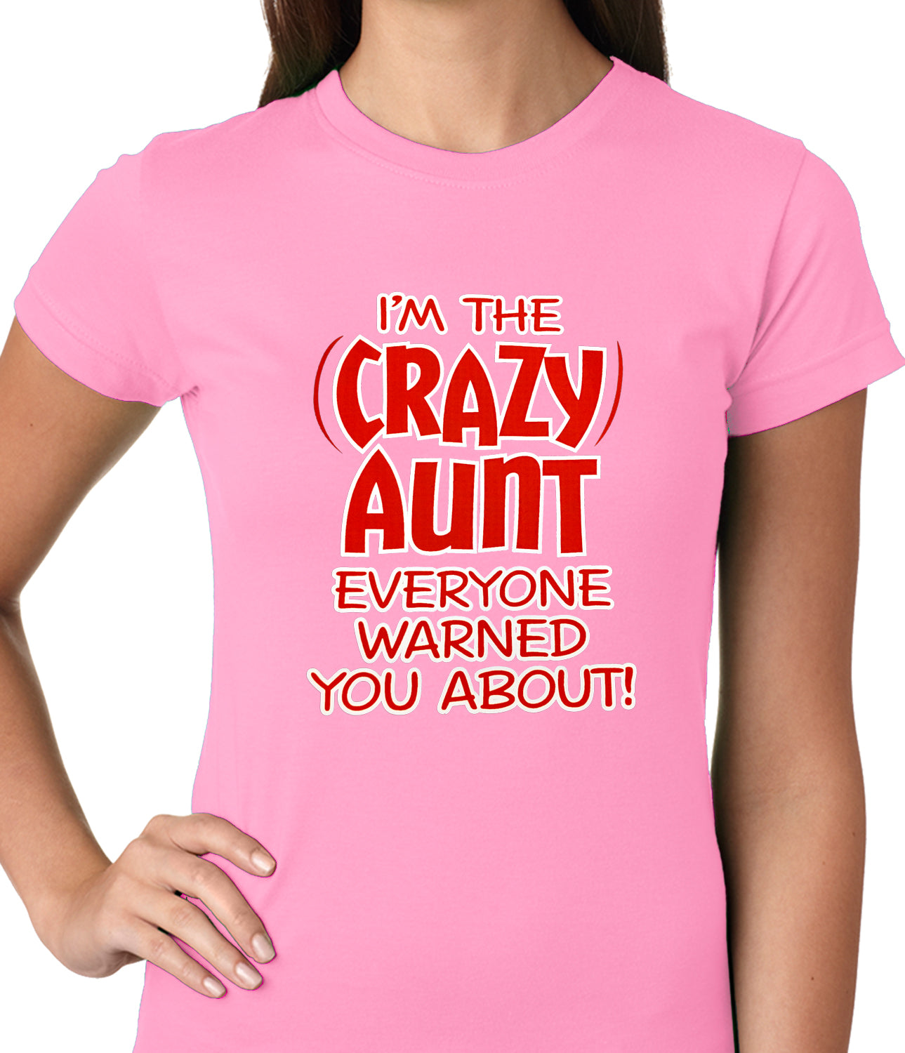 I'm The Crazy Aunt Everyone Warned You About Ladies T-shirt