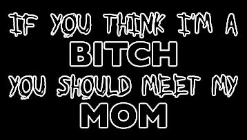 If You Think I'm A Bitch Hoodie