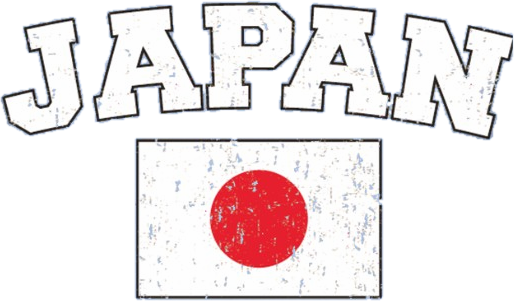 Japan Vintage Flag International Hoodie