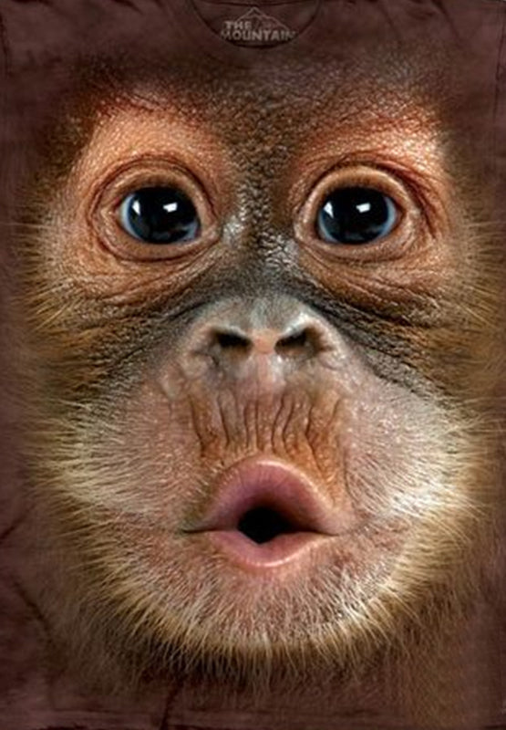 Kid's Baby Orangutan Big Face T-Shirt