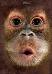 Kid's Baby Orangutan Big Face T-Shirt