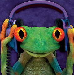 Kid's DJ Peace Frog Big Face T-Shirt