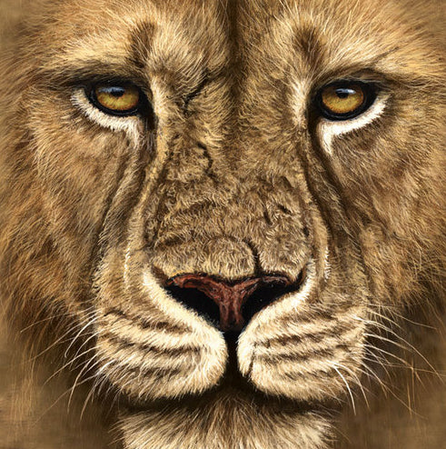 Kid's Lion Warrior Big Face T-Shirt