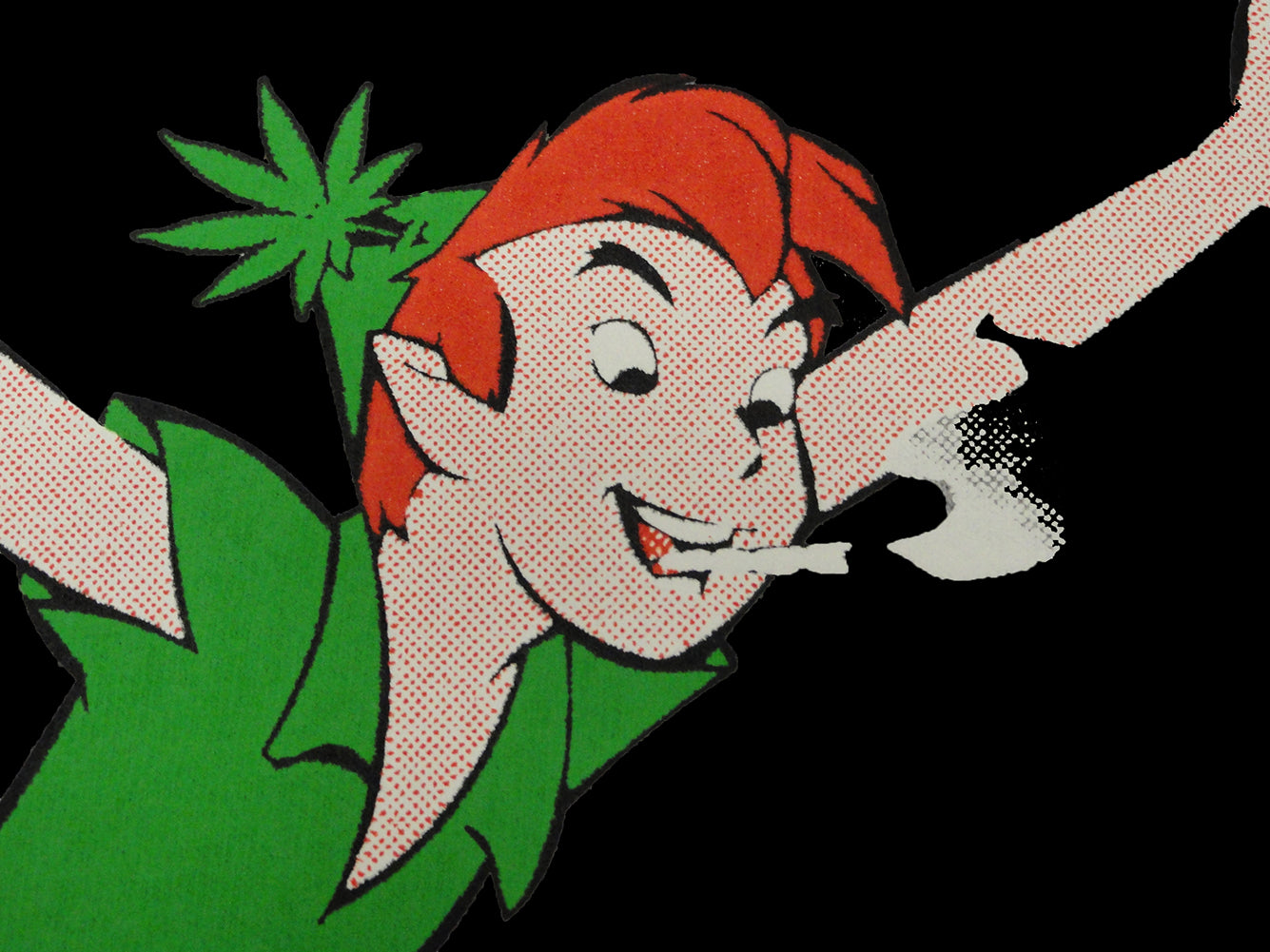 Peter Pot Funny Adult Hoodie