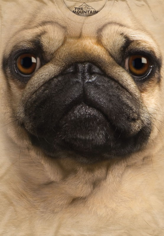 Pug Big Face Men's T-Shirt