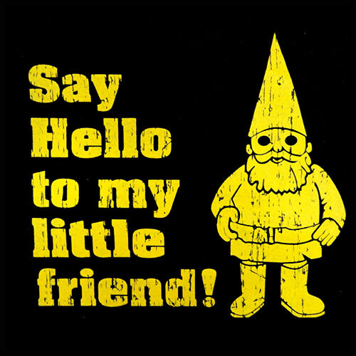 Say Hello To My Little Friend Hoodie