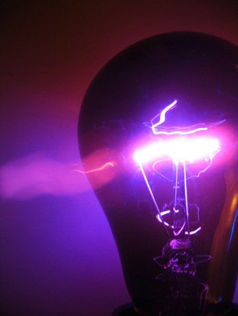 Standard Blacklite Bulb