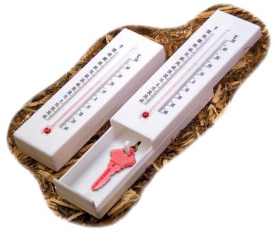 Thermometer Hide-A-Safe