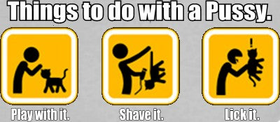 Things to do with Pus*y T-Shirt