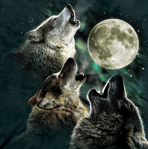 Three Wolf Moon Men's Big Face T-Shirt