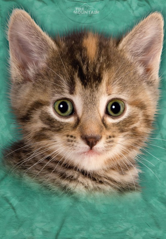 Tyler The Kitten Big Face Men's T-Shirt