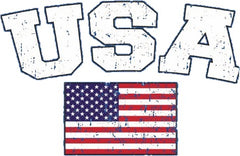 USA Vintage Flag International Hoodie