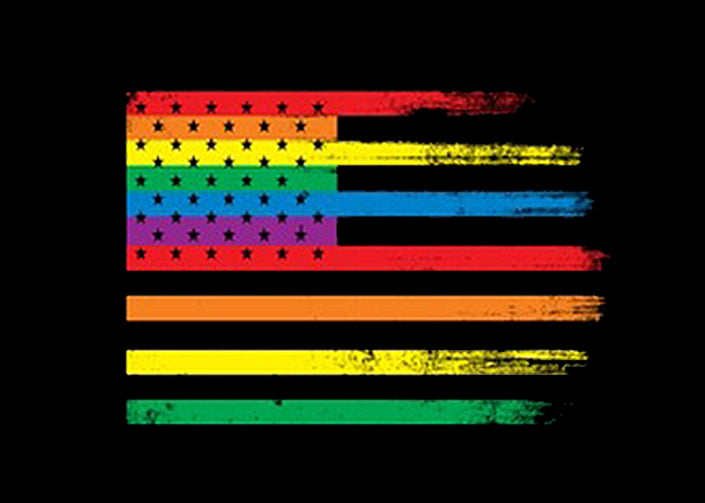 Rainbow Pride American Vintage Flag Adult Hoodie