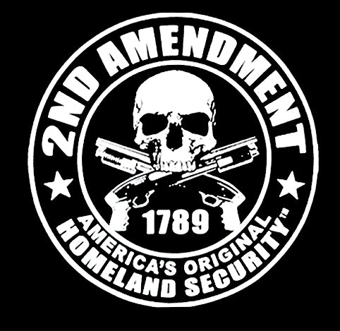 2nd Amendment Homeland Security Adult Hoodie