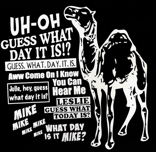 Camel Hump Day Guess What Adult Hoodie