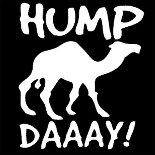 Hump Day Camel Long Sleeve Men's T- Shirt