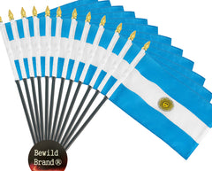 4x6 Inch Argentina Flag