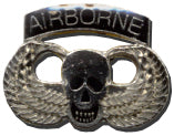 Airborne Lapel Pin